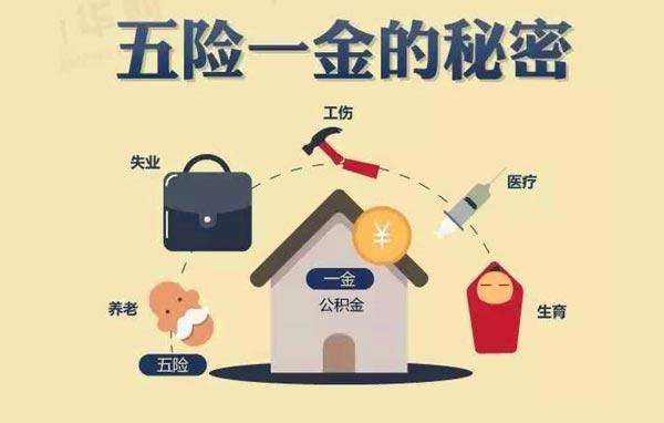 你繳的五險一金哪些能隨時繳隨時用？哪些到點才能用？