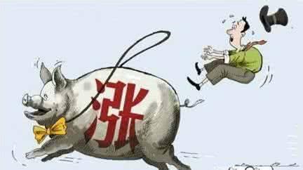 豬肉價(jià)太高？別急！為了你的吃肉自由 一大批“外援”正在趕來(lái)