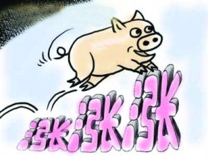 上市豬肉返廠的比例增加 北京肉價趨于平穩(wěn)