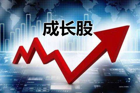 投資成長股的幾點心得體會