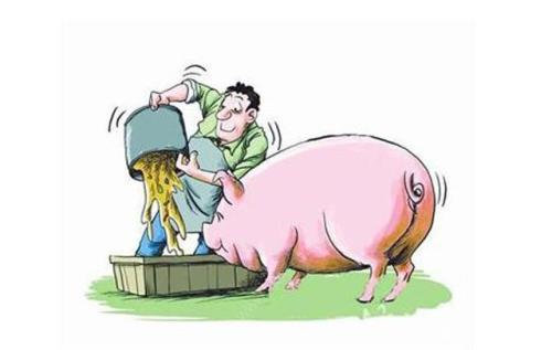 養(yǎng)豬概念股三季報逆轉(zhuǎn) 股價已經(jīng)提前透支了？