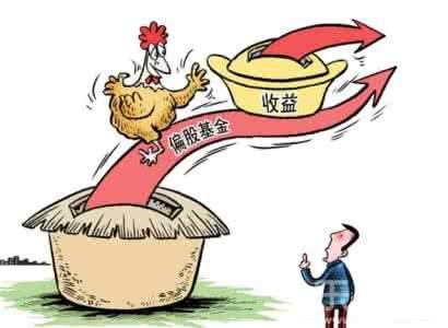 今年首只收益翻倍偏股基金出爐 果然“炒股不如買(mǎi)基金”！