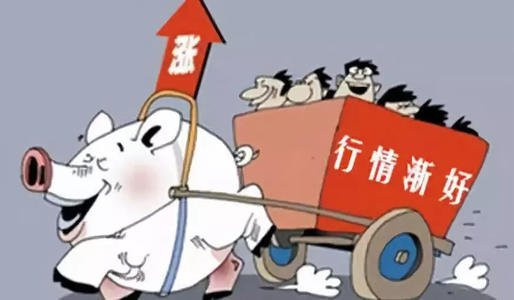 超級豬周期完結(jié)？養(yǎng)豬ETF遭遇生豬連環(huán)降價 上市豬企“以量補價”決戰(zhàn)下半年