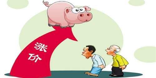 豬肉價(jià)格突然反彈！ 一公斤漲近7元 接下來(lái)怎么走？