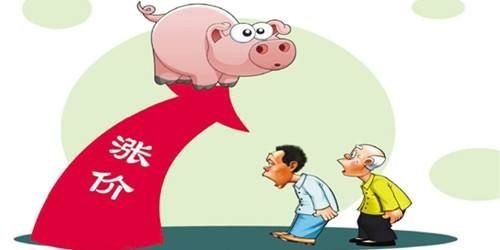 賺翻了！養(yǎng)豬半年凈利超100億 3300億“豬老大”又火了