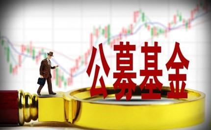 公募基金引領(lǐng)風(fēng)向 A股專業(yè)投資駛?cè)氚l(fā)展快車道